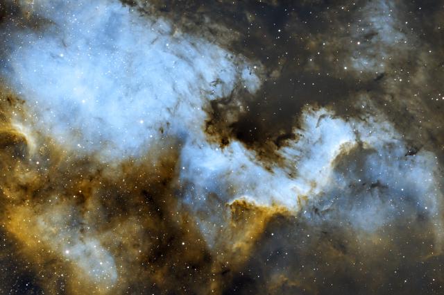 Cygnus Wall and the North American Nebula (NGC7000)