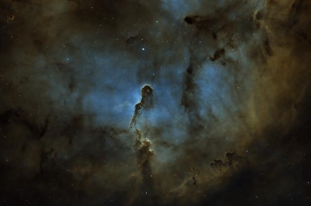 Elephant's Trunk Nebula (IC1396)
