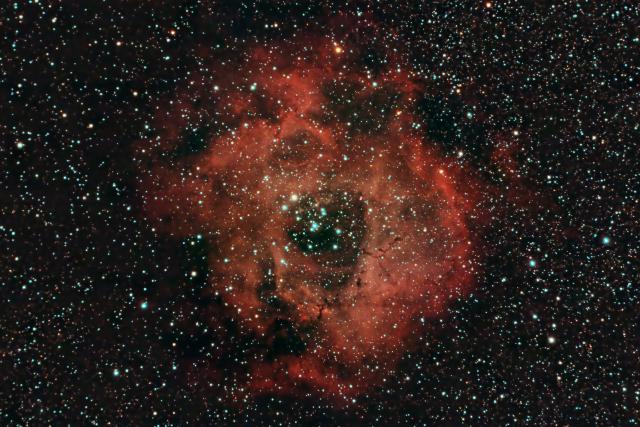 NGC2237 ‘Rosette Nebula’